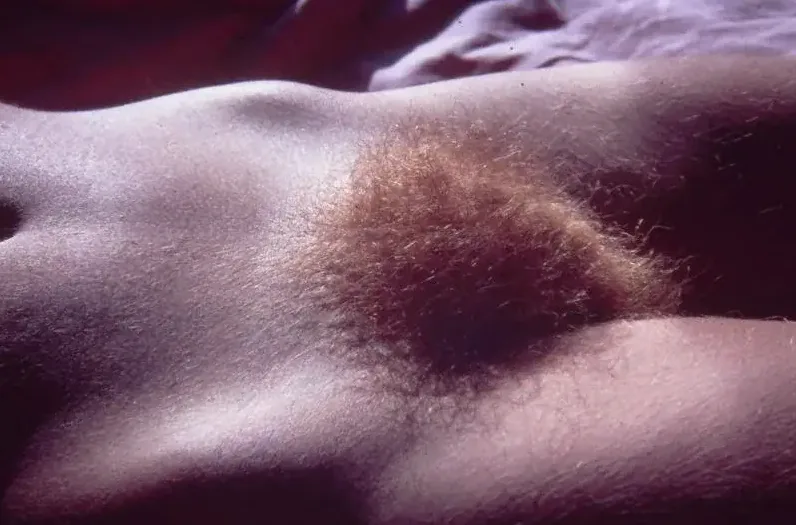 Kostenlose Sextreffen Nufringen